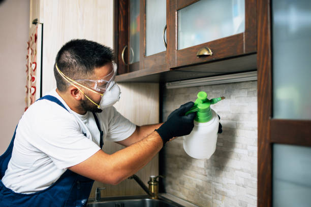 Best Wasp Removal Services  in Cloverdale, CA