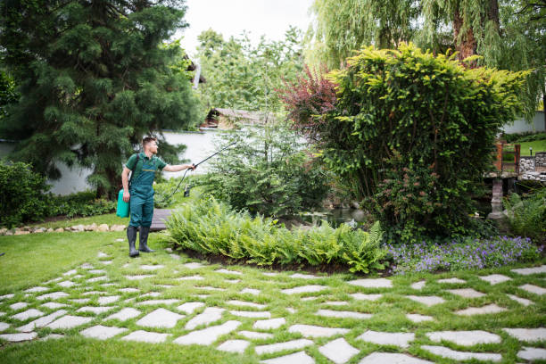 Best Pest Inspection Near Me  in Cloverdale, CA