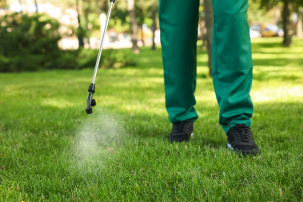 Best Exterminator Services  in Cloverdale, CA