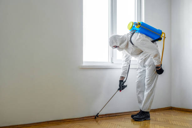 Best Termite Control Services  in Cloverdale, CA
