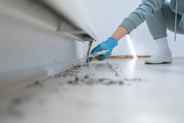 Best Ant Control Services  in Cloverdale, CA